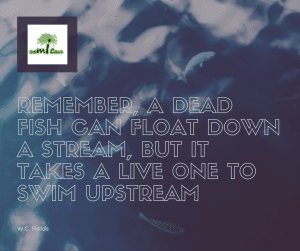 Remember, a dead fish can float down a stream, but it takes a live one to swim upstream