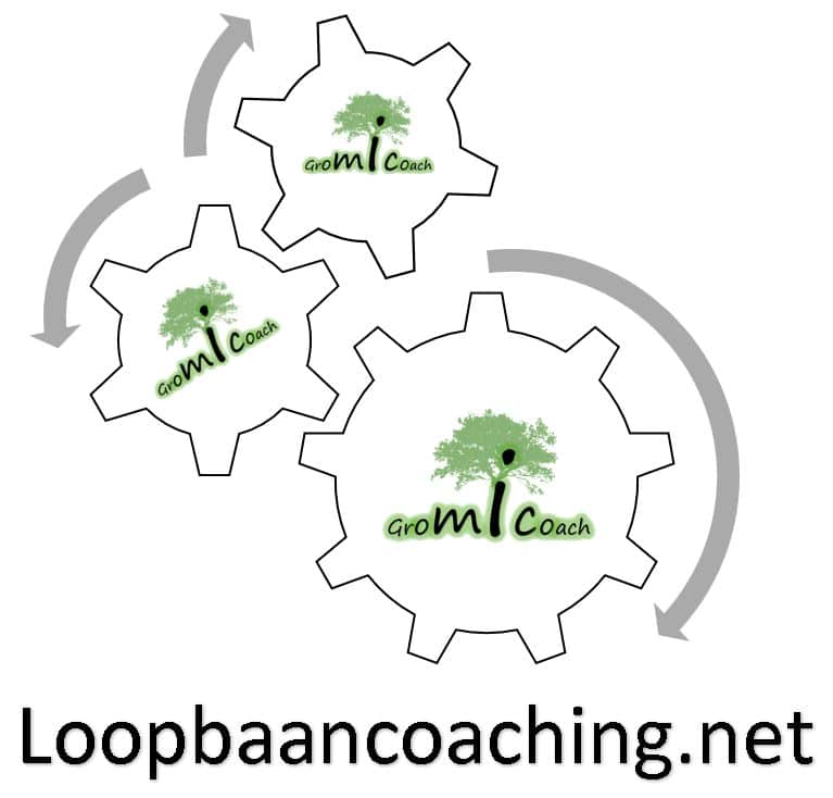 loopbaancoaching.net
